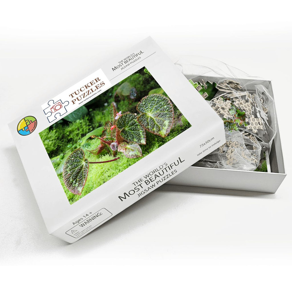 Green  Flora Landscape; Singapore; Wooden Jigsaw Puzzles 1000 pcs (Horizontal)