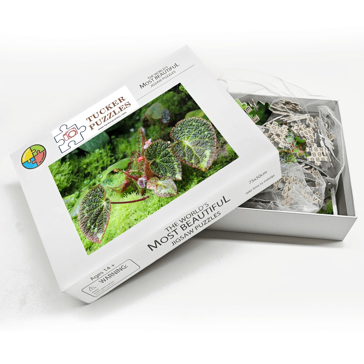 Green  Flora Landscape; Singapore; Wooden Jigsaw Puzzles 1000 pcs (Horizontal)