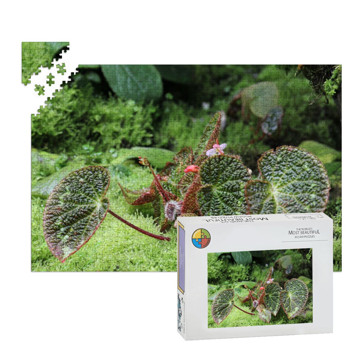 Green Landscape Flora, Singapore, 2005: Wooden Jigsaw Puzzles 1000 pcs (Horizontal) IMG4480