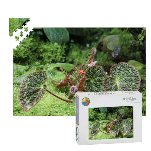 Green Landscape Flora, Singapore, 2005: Wooden Jigsaw Puzzles 1000 pcs (Horizontal) IMG4480