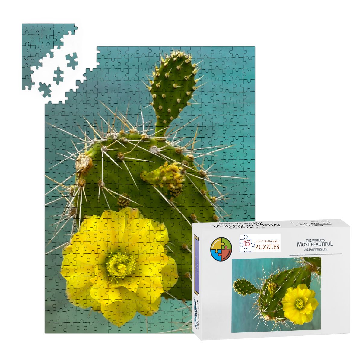 Wooden Jigsaw Puzzles 500 pcs (Vertical) Cacti Plant, Curacao 20265