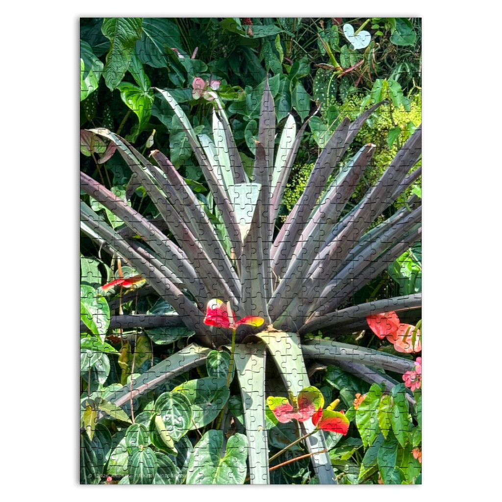 Agave Plant Wooden Jigsaw Puzzle 500 pcs (Vertical)
