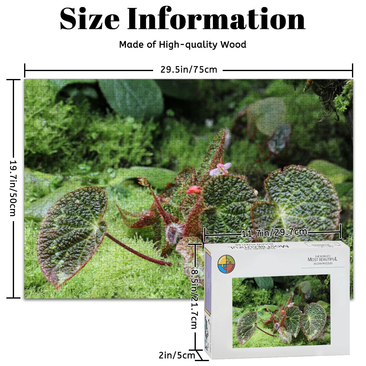 Green Landscape Flora, Singapore, 2025: Wooden Jigsaw Puzzles 1000 pcs (Horizontal) IMG4480