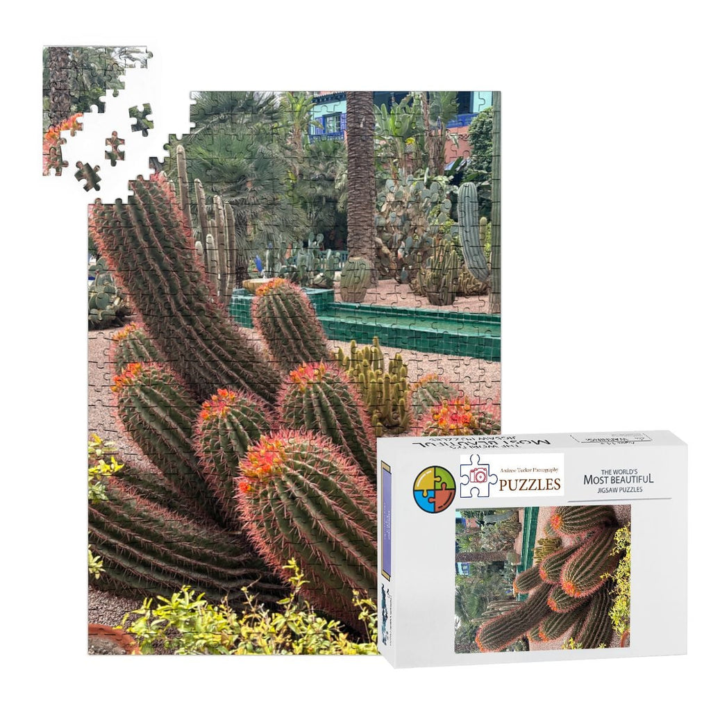 Sonoran Desert Cacti Garden,  Morocco, 2026; Wooden Jigsaw Puzzles 500 pcs (Vertical) Firefly (1) Cacti Morocco1