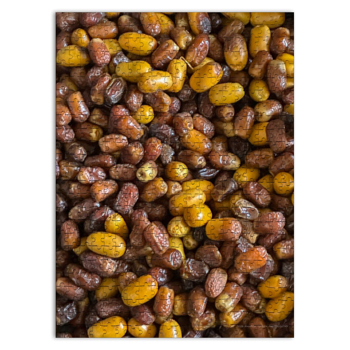 Moroccan Dates from a Berber Market, Morocco;  Wooden Jigsaw Puzzle 500 pcs (Vertical)