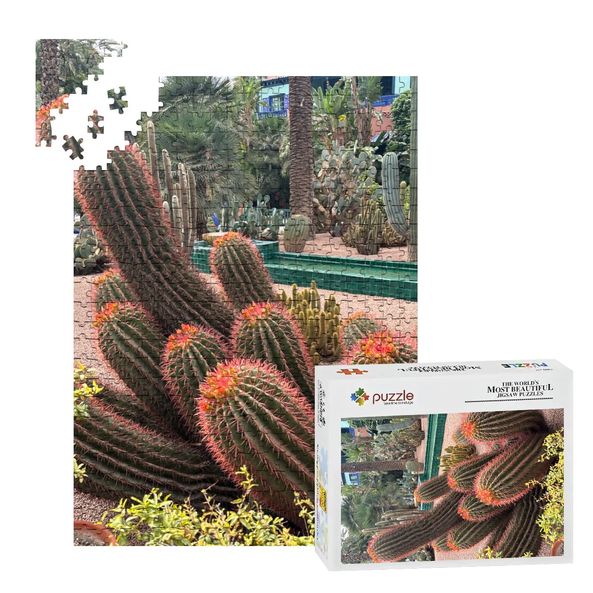 Sonoran Desert Cacti: Wooden Jigsaw Puzzles 500 pcs (Vertical)
