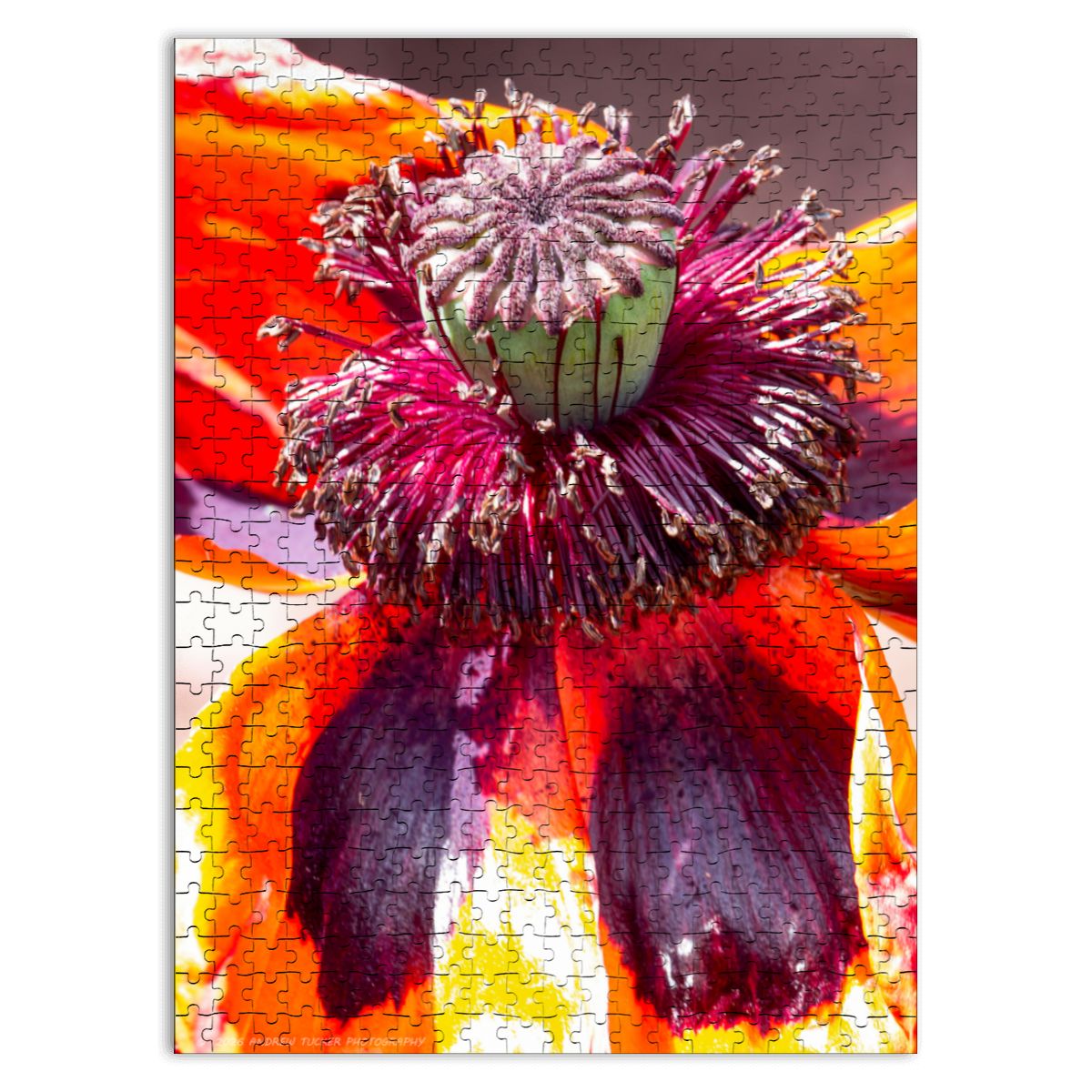 Flower Enlargement; Wooden Jigsaw Puzzles 500 pcs (Vertical)