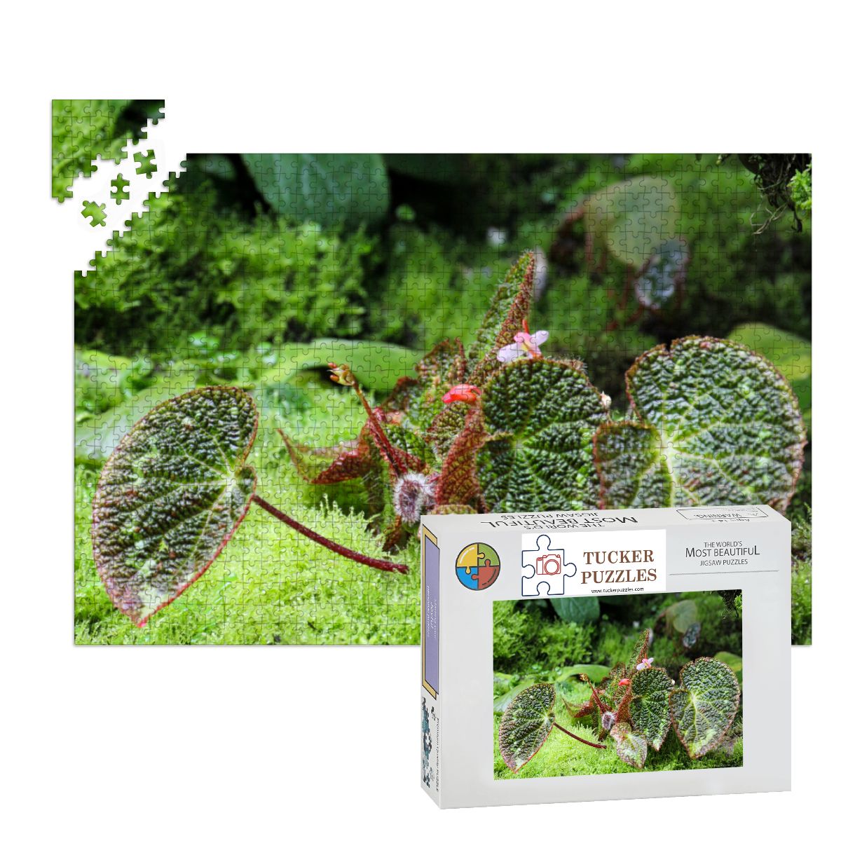 Green  Flora Landscape; Singapore; Wooden Jigsaw Puzzles 1000 pcs (Horizontal)