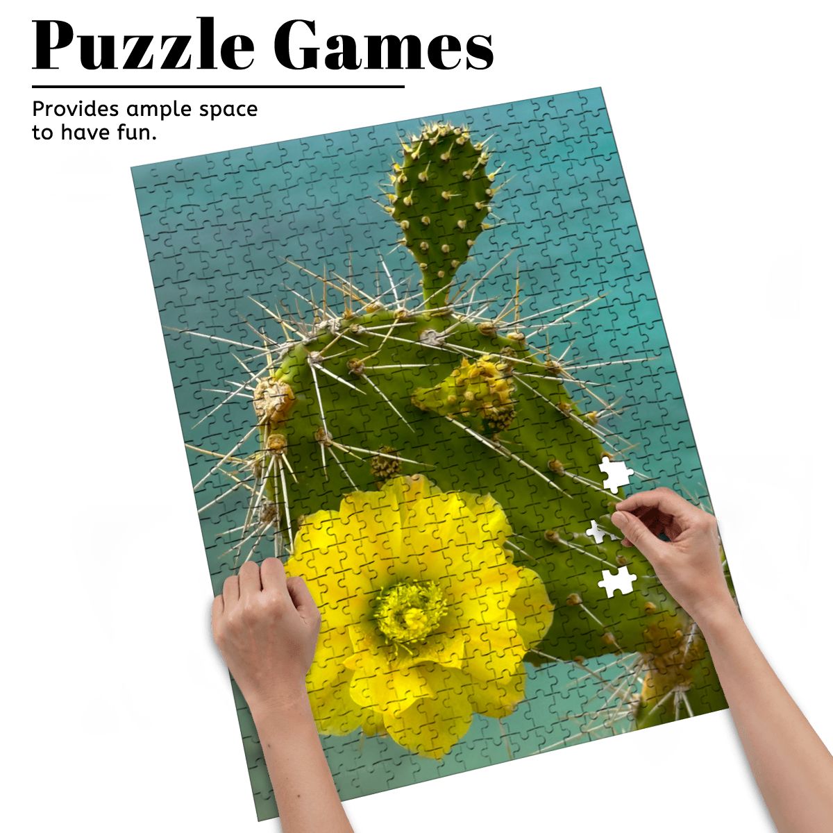Wooden Jigsaw Puzzles 500 pcs (Vertical) Cacti Plant, Curacao 20265