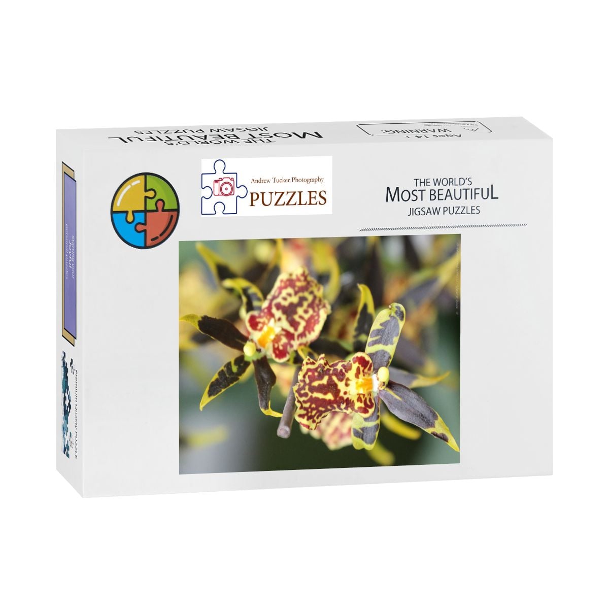 Orchid, Singapore, 2025; Wooden Jigsaw Puzzles 500 pcs (Vertical)