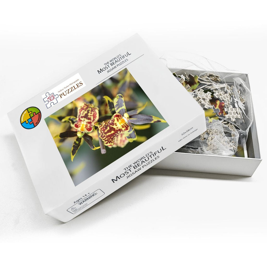 Orchid, Singapore, 2025; Wooden Jigsaw Puzzles 500 pcs (Vertical)