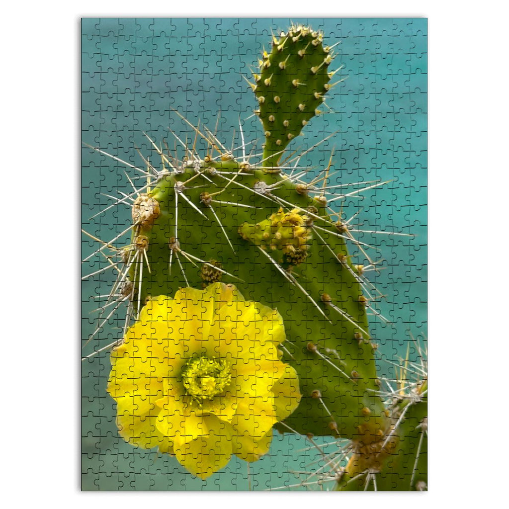 Wooden Jigsaw Puzzles 500 pcs (Vertical) Cacti Plant, Curacao 20265