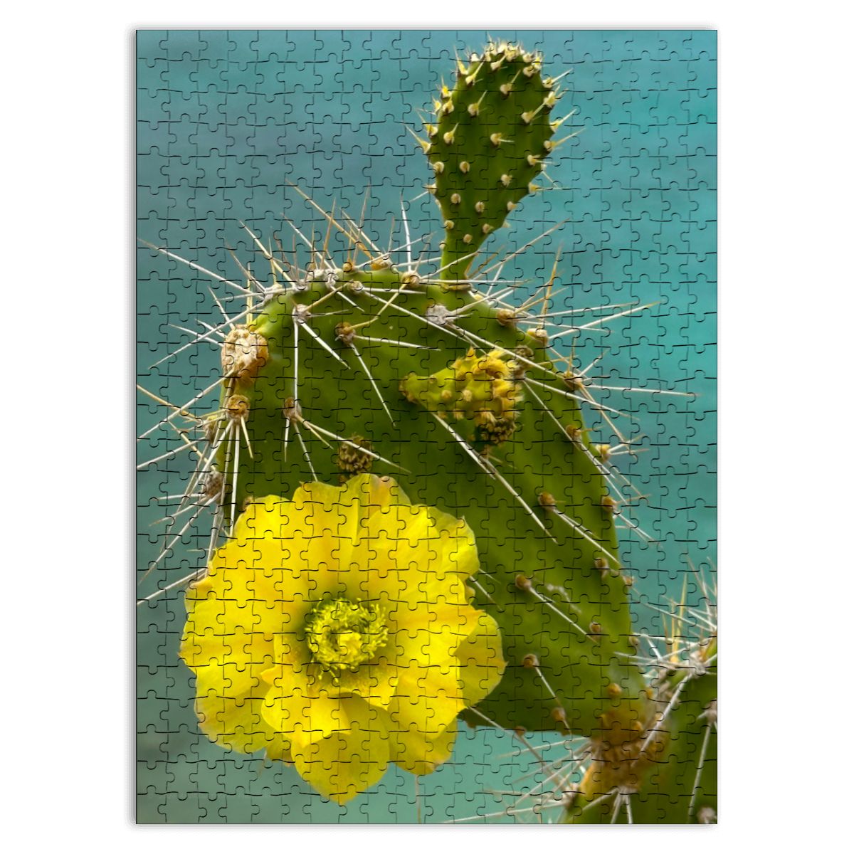 Wooden Jigsaw Puzzles 500 pcs (Vertical) Cacti Plant, Curacao 20265