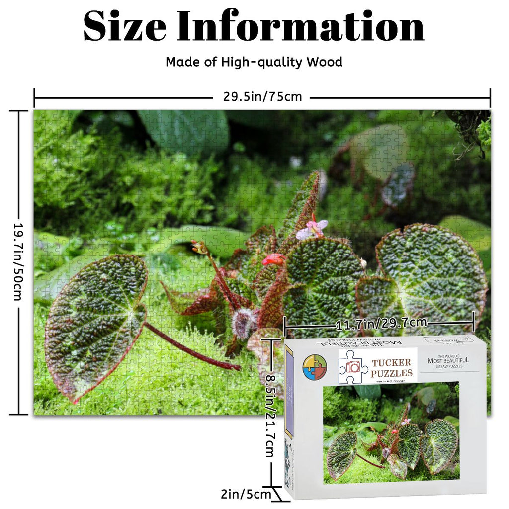 Green  Flora Landscape; Singapore; Wooden Jigsaw Puzzles 1000 pcs (Horizontal)
