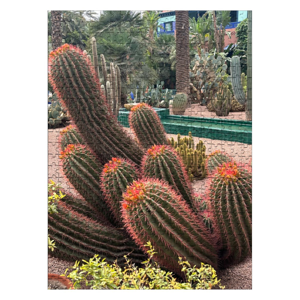 Sonoran Desert Cacti: Wooden Jigsaw Puzzles 500 pcs (Vertical)