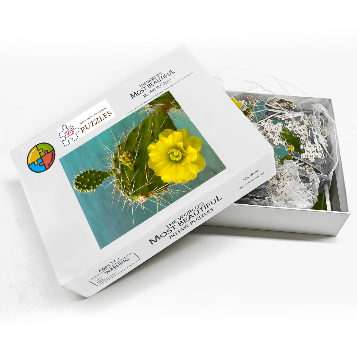 Wooden Jigsaw Puzzles 500 pcs (Vertical) Cacti Plant, Curacao 20265
