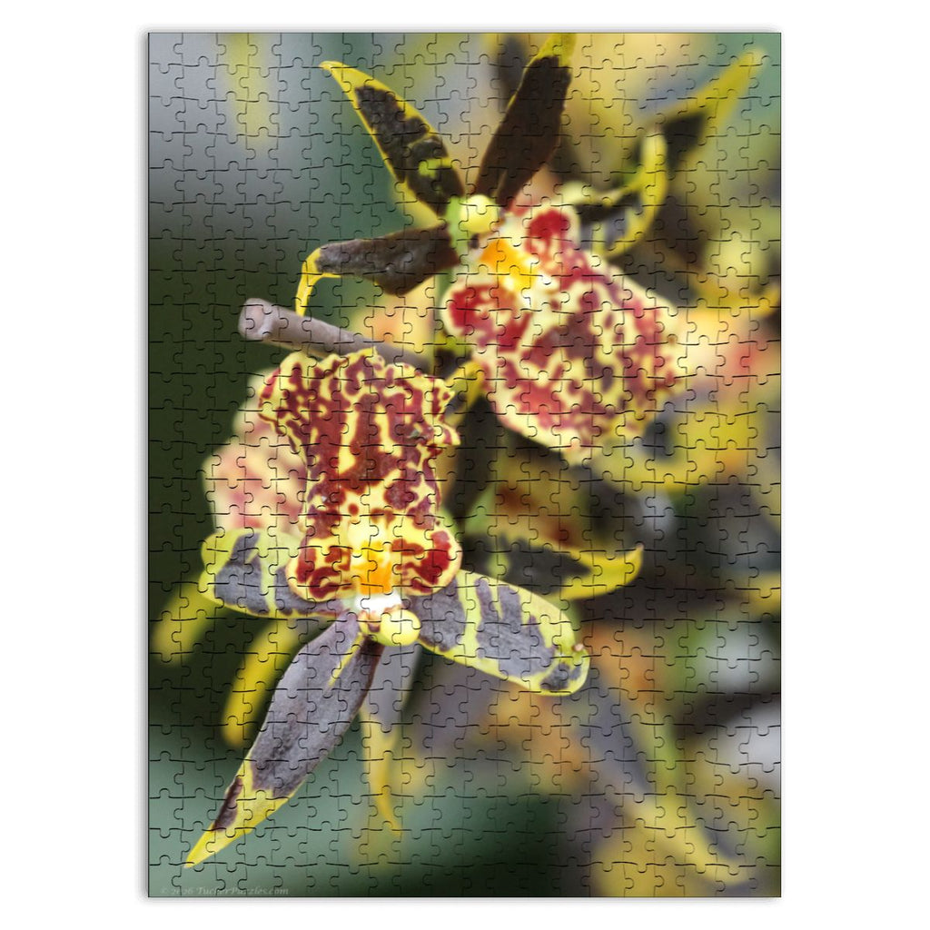 Orchid, Singapore; Wooden Jigsaw Puzzle 500 pcs (Vertical)