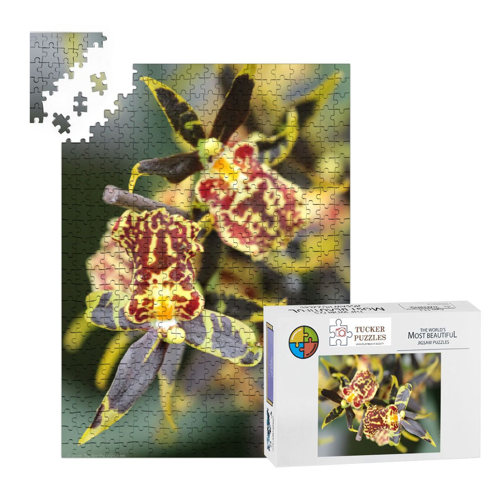 Orchid, Singapore; Wooden Jigsaw Puzzle 500 pcs (Vertical)