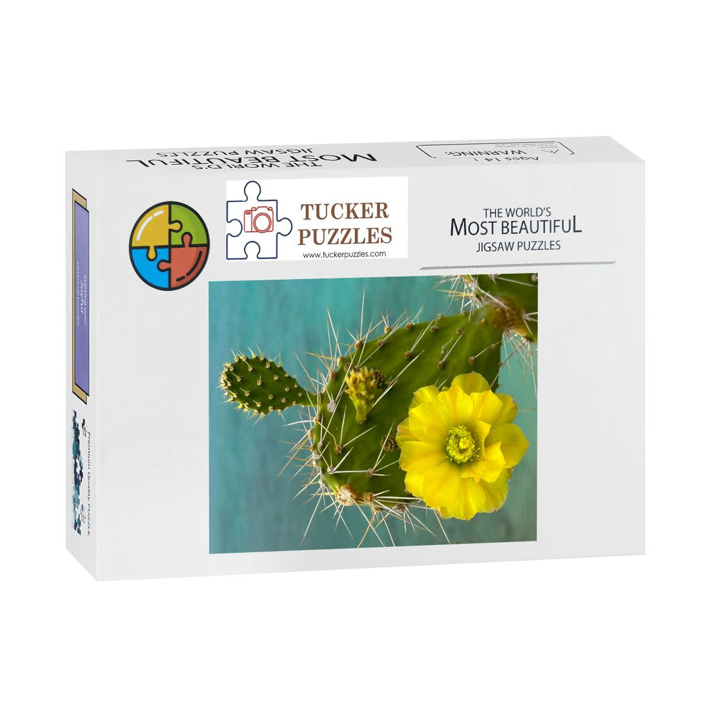 Prickly Pear in Bloom, Curacao; Wooden Jigsaw Puzzle 500 pcs (Vertical)