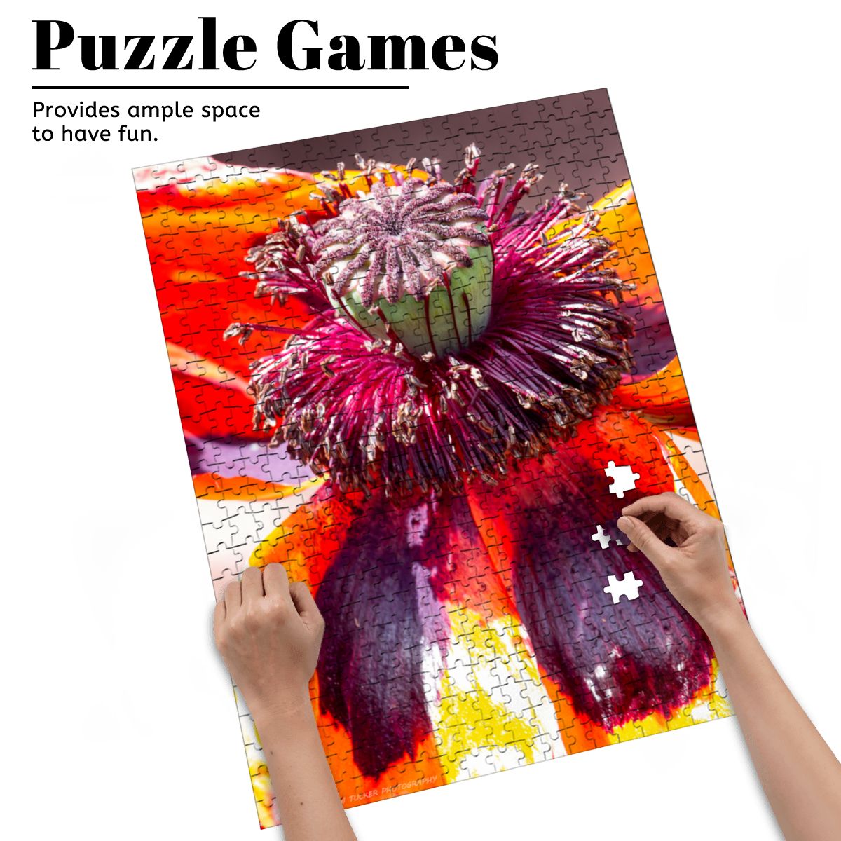 Flower Enlargement; Wooden Jigsaw Puzzles 500 pcs (Vertical)