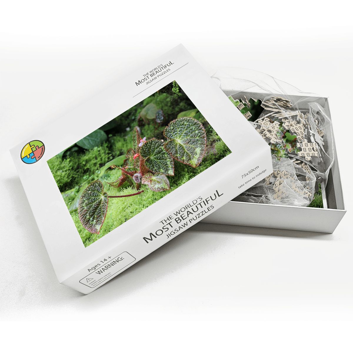 Green Landscape Flora, Singapore, 2005: Wooden Jigsaw Puzzles 1000 pcs (Horizontal) IMG4480