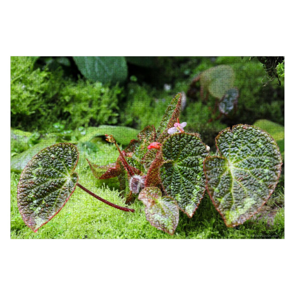 Green  Flora Landscape; Singapore; Wooden Jigsaw Puzzles 1000 pcs (Horizontal)