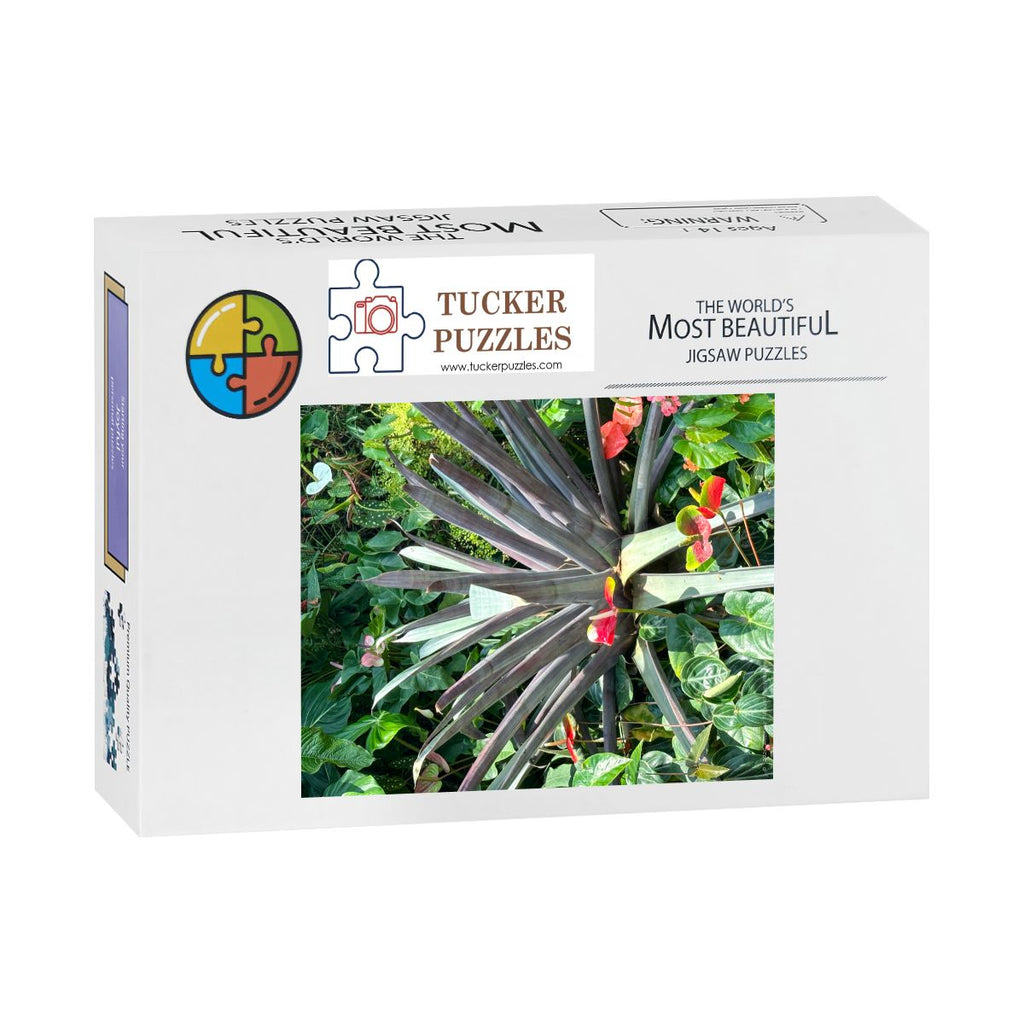 Agave Plant, Flower Dome, Singapore; Wooden Jigsaw Puzzle 500 pcs (Vertical)