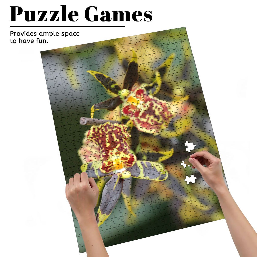 Orchid, Singapore, 2025: Wooden Jigsaw Puzzles 500 pcs (Vertical) IMG4476