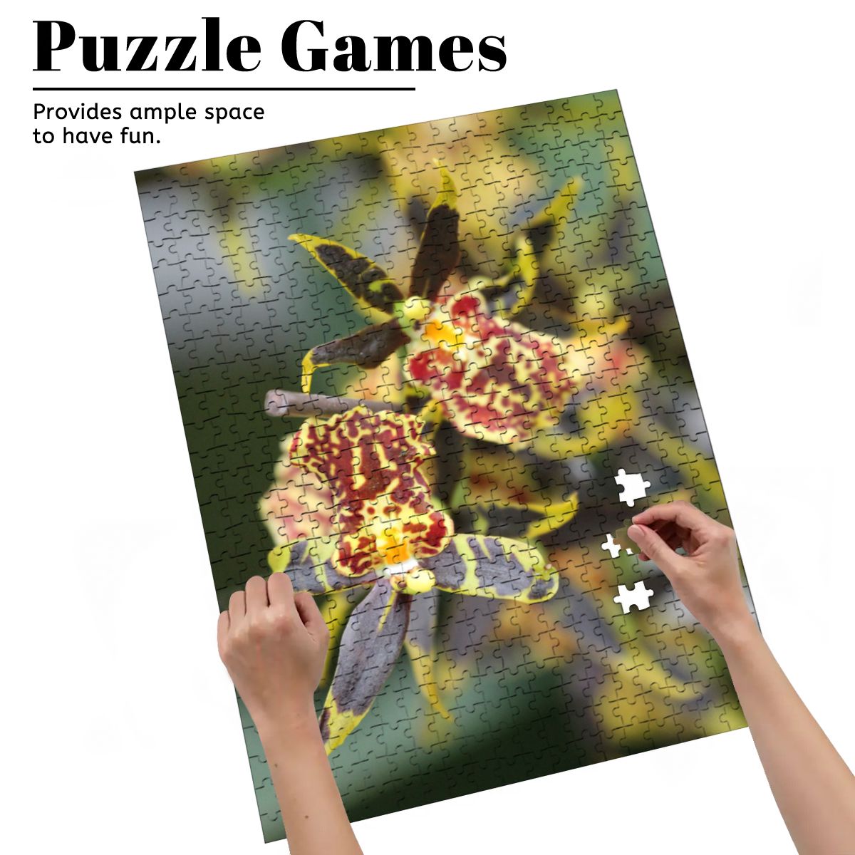 Orchid, Singapore, 2025: Wooden Jigsaw Puzzles 500 pcs (Vertical) IMG4476