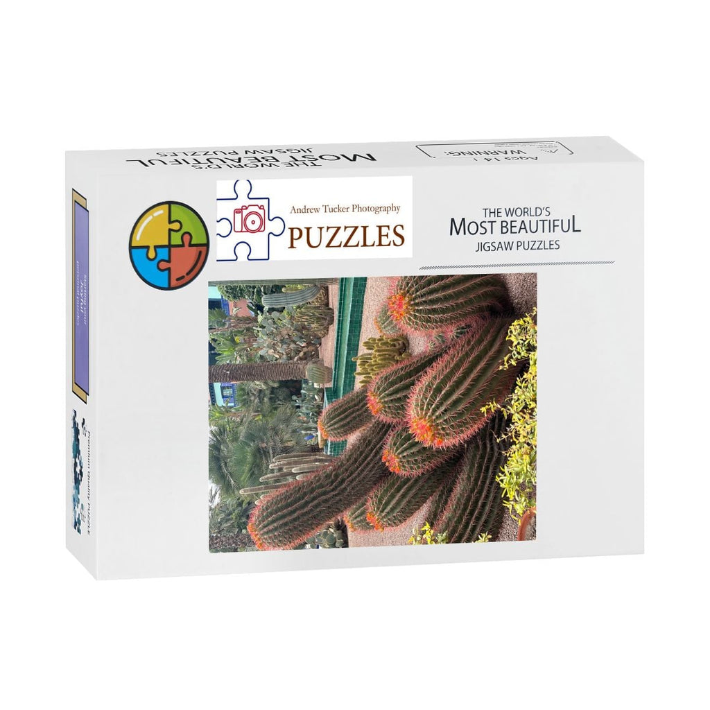 Sonoran Desert Cacti Garden,  Morocco, 2026; Wooden Jigsaw Puzzles 500 pcs (Vertical) Firefly (1) Cacti Morocco1
