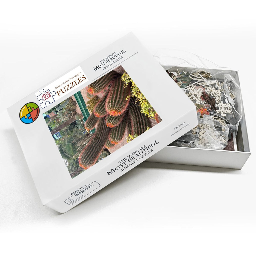 Sonoran Desert Cacti Garden,  Morocco, 2026; Wooden Jigsaw Puzzles 500 pcs (Vertical) Firefly (1) Cacti Morocco1