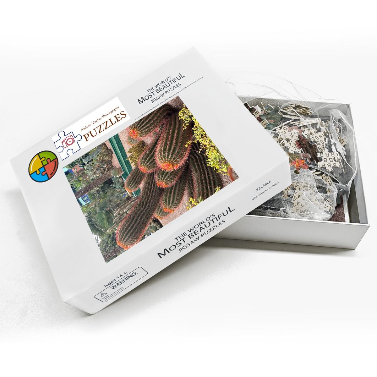 Sonoran Desert Cacti Garden,  Morocco, 2026; Wooden Jigsaw Puzzles 500 pcs (Vertical) Firefly (1) Cacti Morocco1