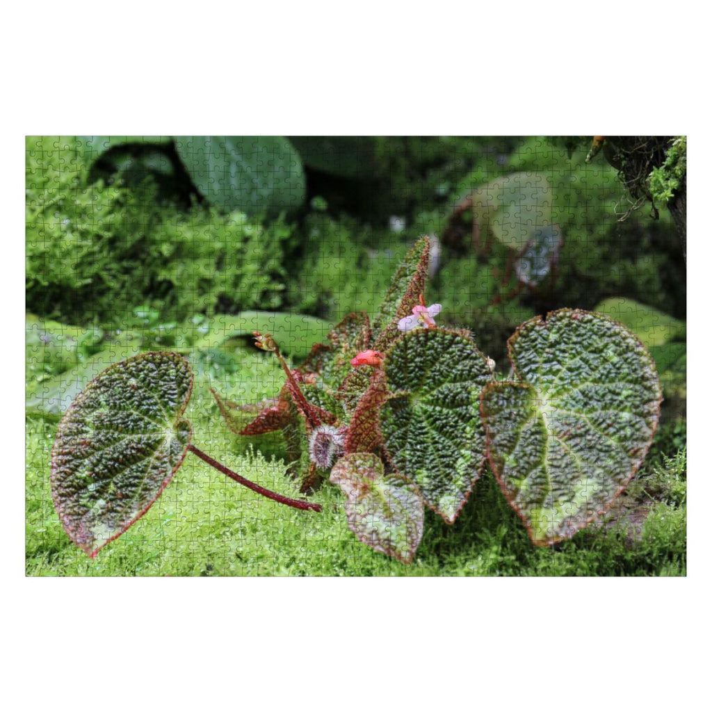 Green Landscape Flora, Singapore, 2025: Wooden Jigsaw Puzzles 1000 pcs (Horizontal) IMG4480