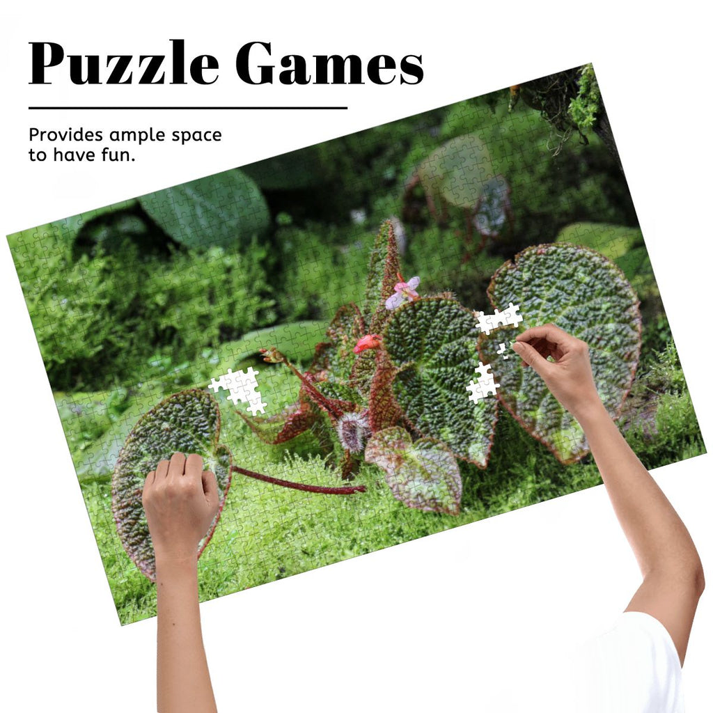 Green Landscape Flora, Singapore, 2025: Wooden Jigsaw Puzzles 1000 pcs (Horizontal) IMG4480