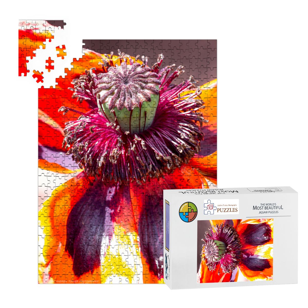 Flower Enlargement; Wooden Jigsaw Puzzles 500 pcs (Vertical)