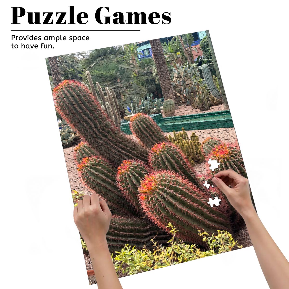 Sonoran Desert Cacti: Wooden Jigsaw Puzzles 500 pcs (Vertical)