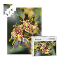 Orchid, Singapore, 2025: Wooden Jigsaw Puzzles 500 pcs (Vertical) IMG4476