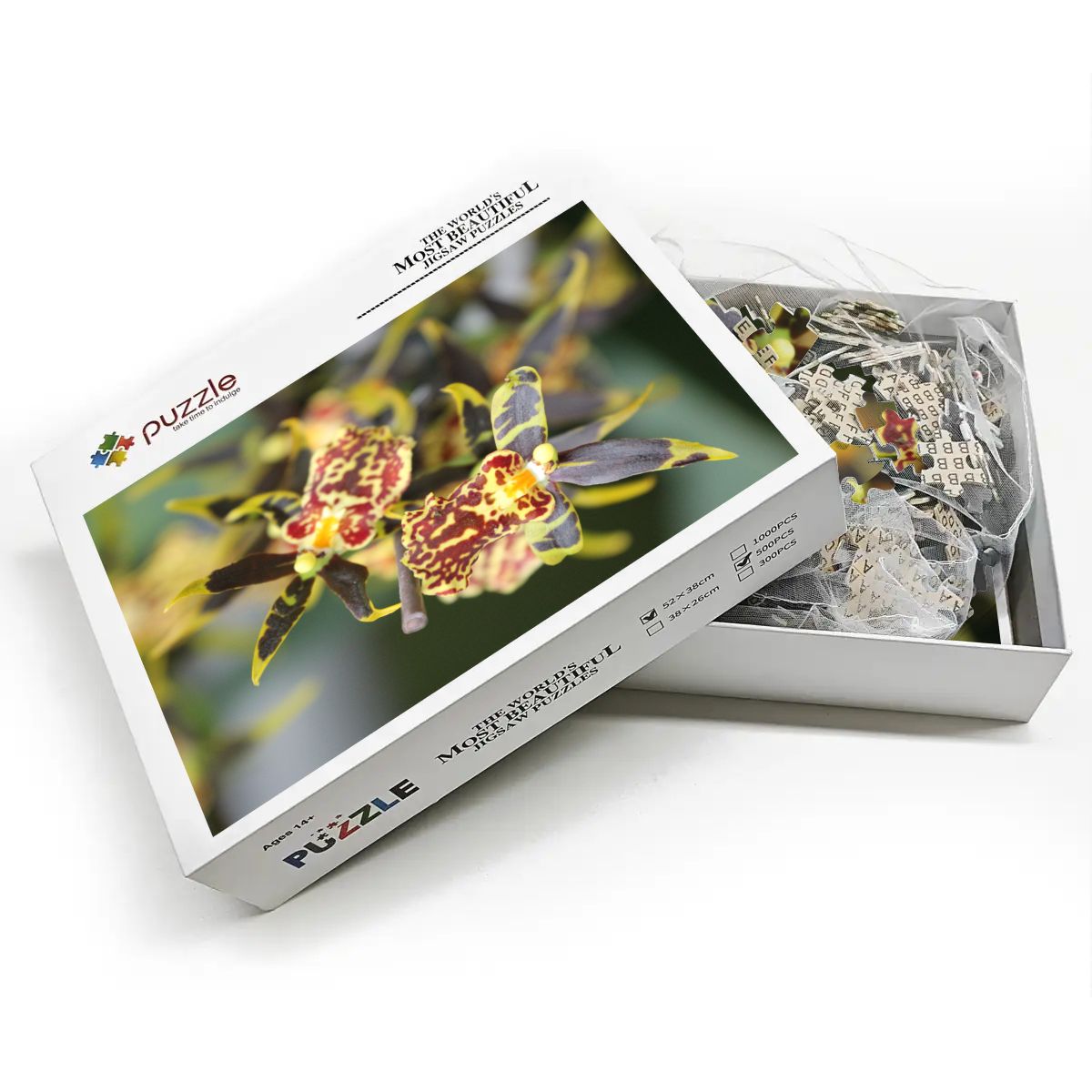Orchid, Singapore, 2025: Wooden Jigsaw Puzzles 500 pcs (Vertical) IMG4476
