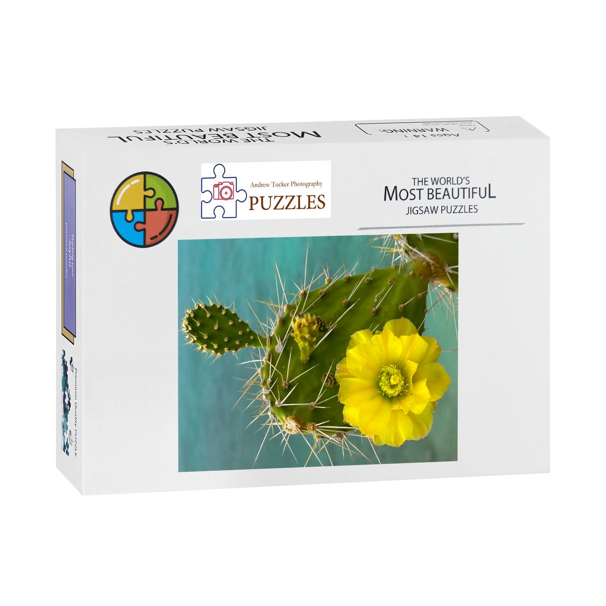 Wooden Jigsaw Puzzles 500 pcs (Vertical) Cacti Plant, Curacao 20265