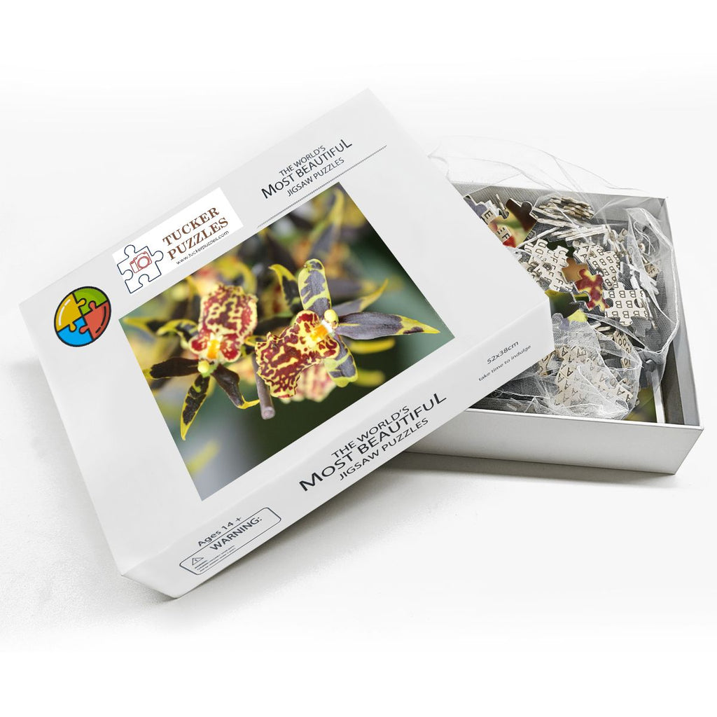 Orchid, Singapore; Wooden Jigsaw Puzzle 500 pcs (Vertical)