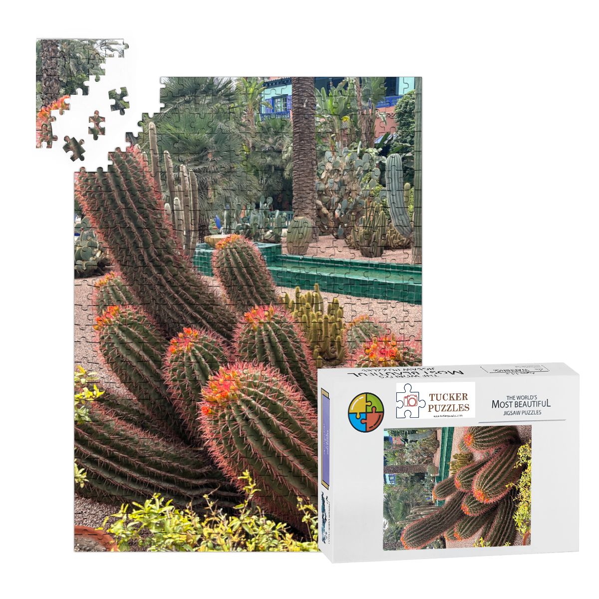 Sonoran Desert Cacti Garden,  Morocco; Wooden Jigsaw Puzzle 500 pcs (Vertical)