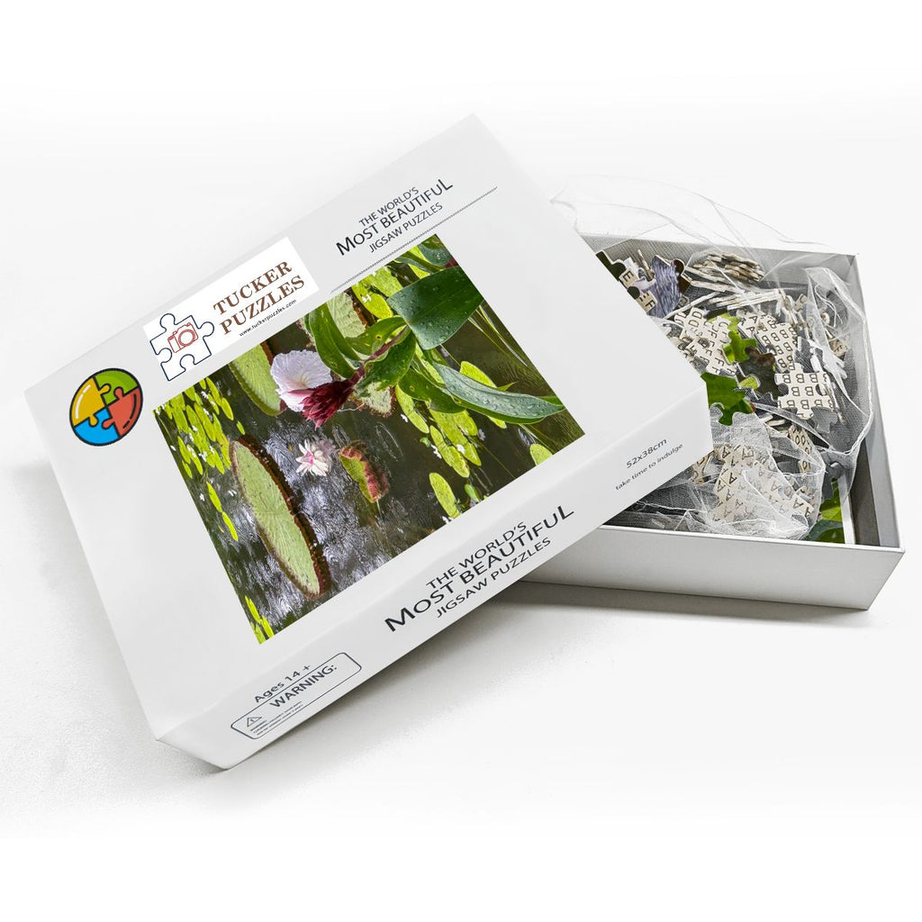 Lily Pond, Singapore; Wooden Jigsaw Puzzles 500 pcs (Vertical)
