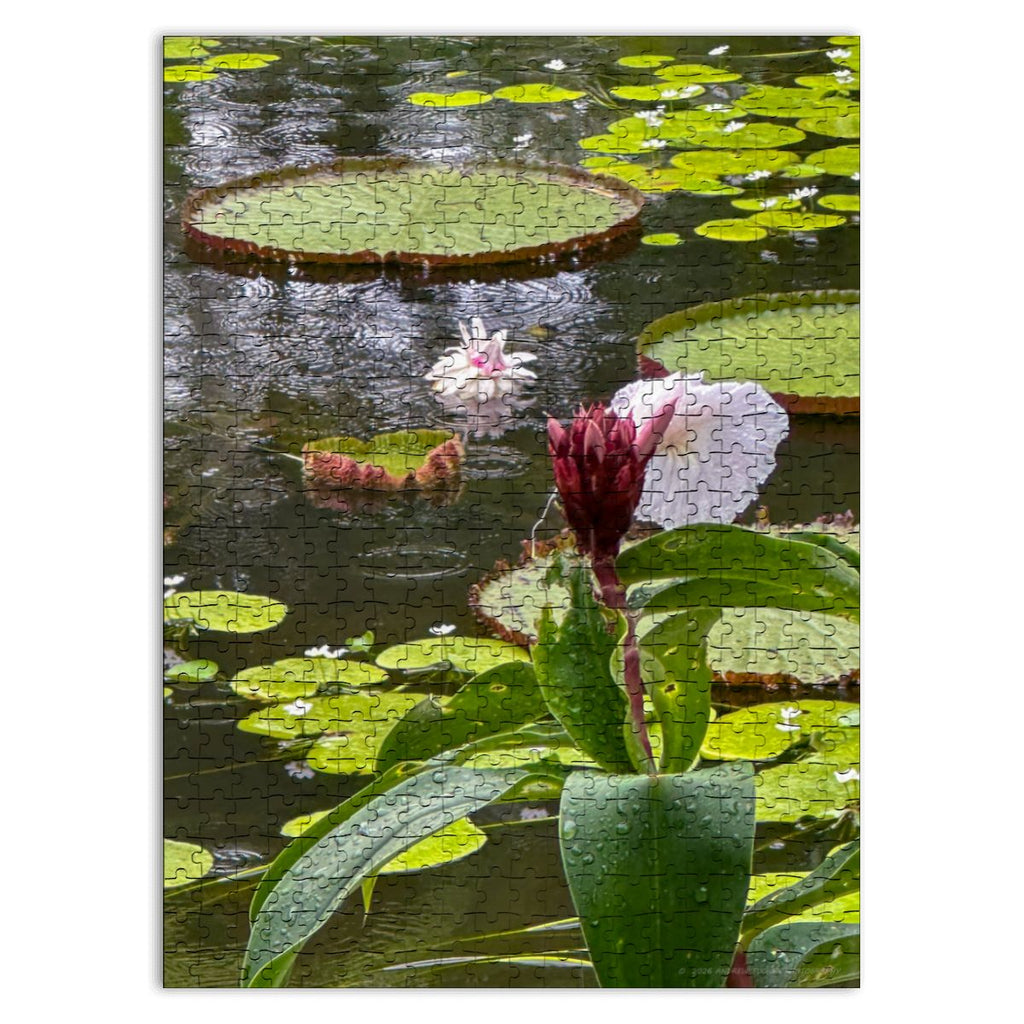 Lily Pond, Singapore; Wooden Jigsaw Puzzles 500 pcs (Vertical)