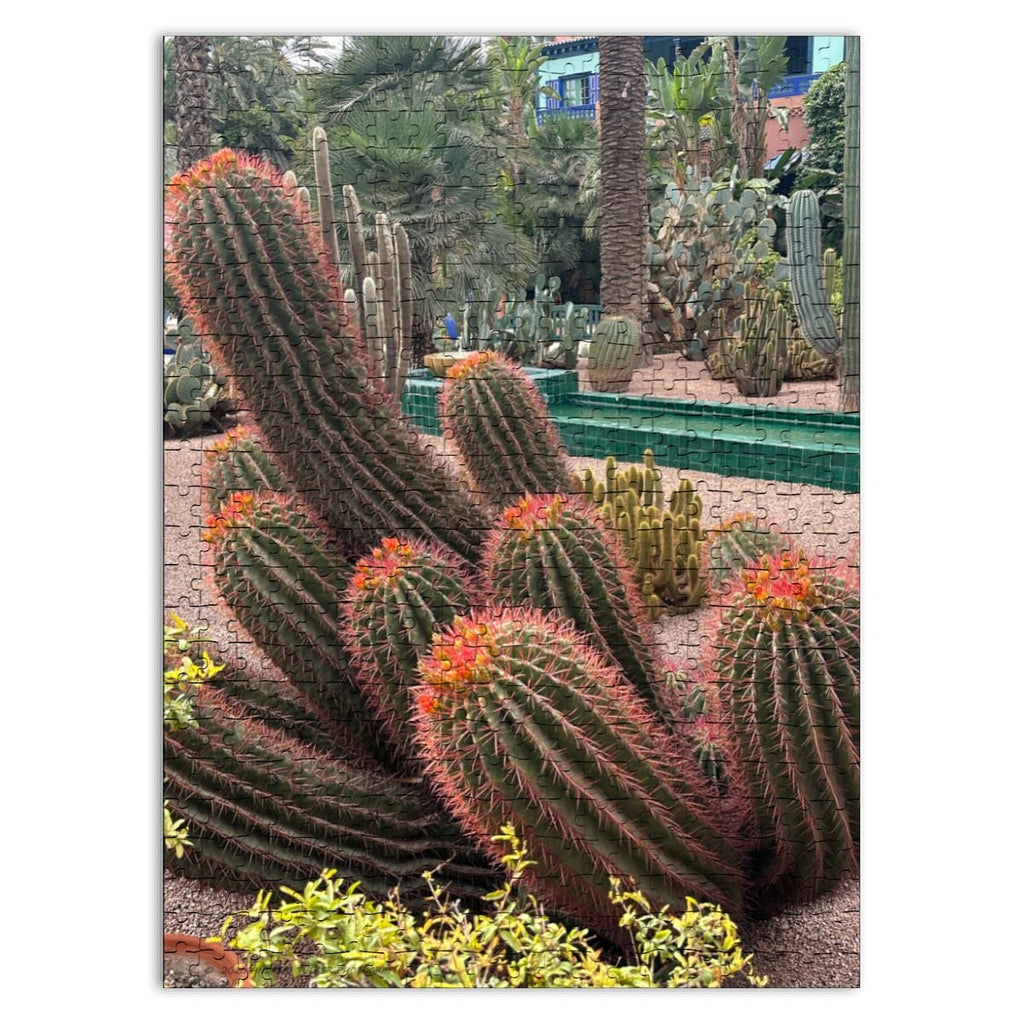 Sonoran Desert Cacti Garden,  Morocco, 2026; Wooden Jigsaw Puzzles 500 pcs (Vertical) Firefly (1) Cacti Morocco1